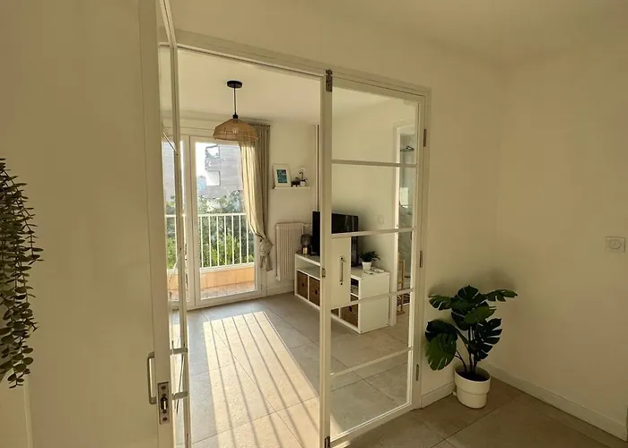 - Cozy 2 Pieces Proche Apartment Antibes